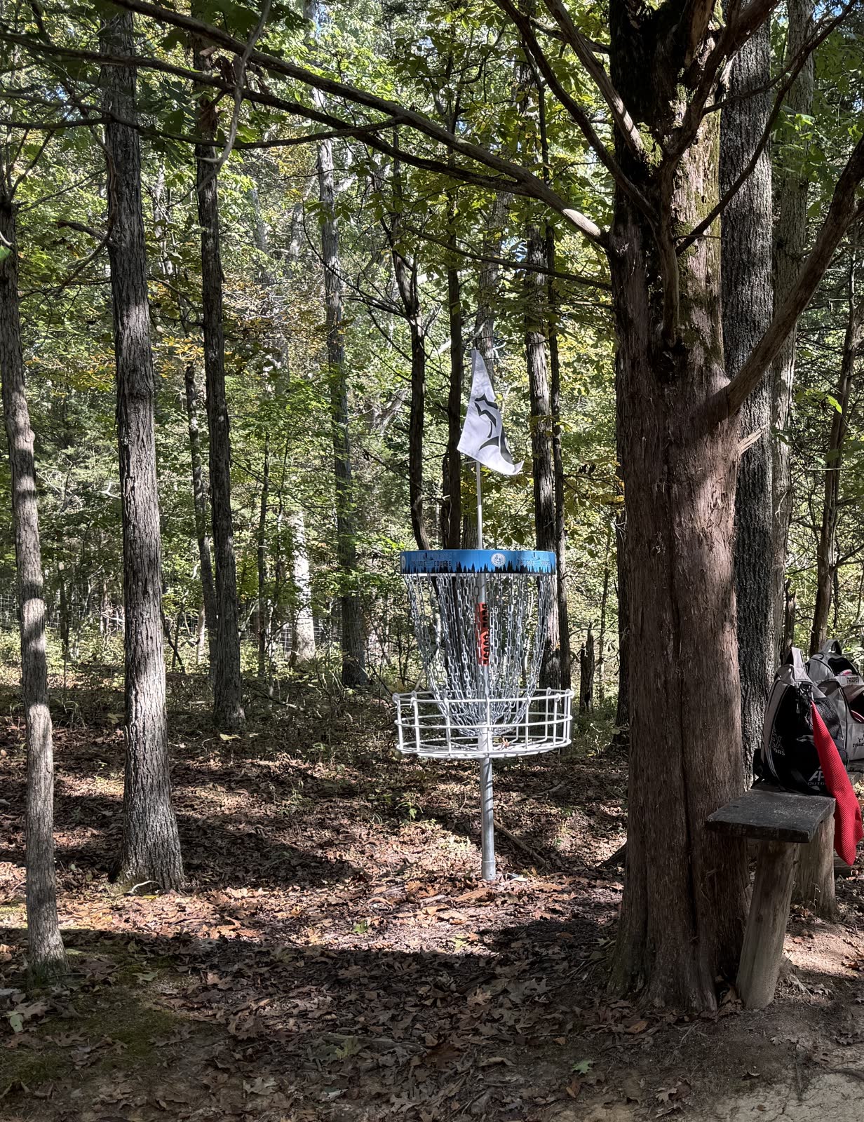 Blue Goose wooded basket with player bag on a rustic bench, autumn leaves