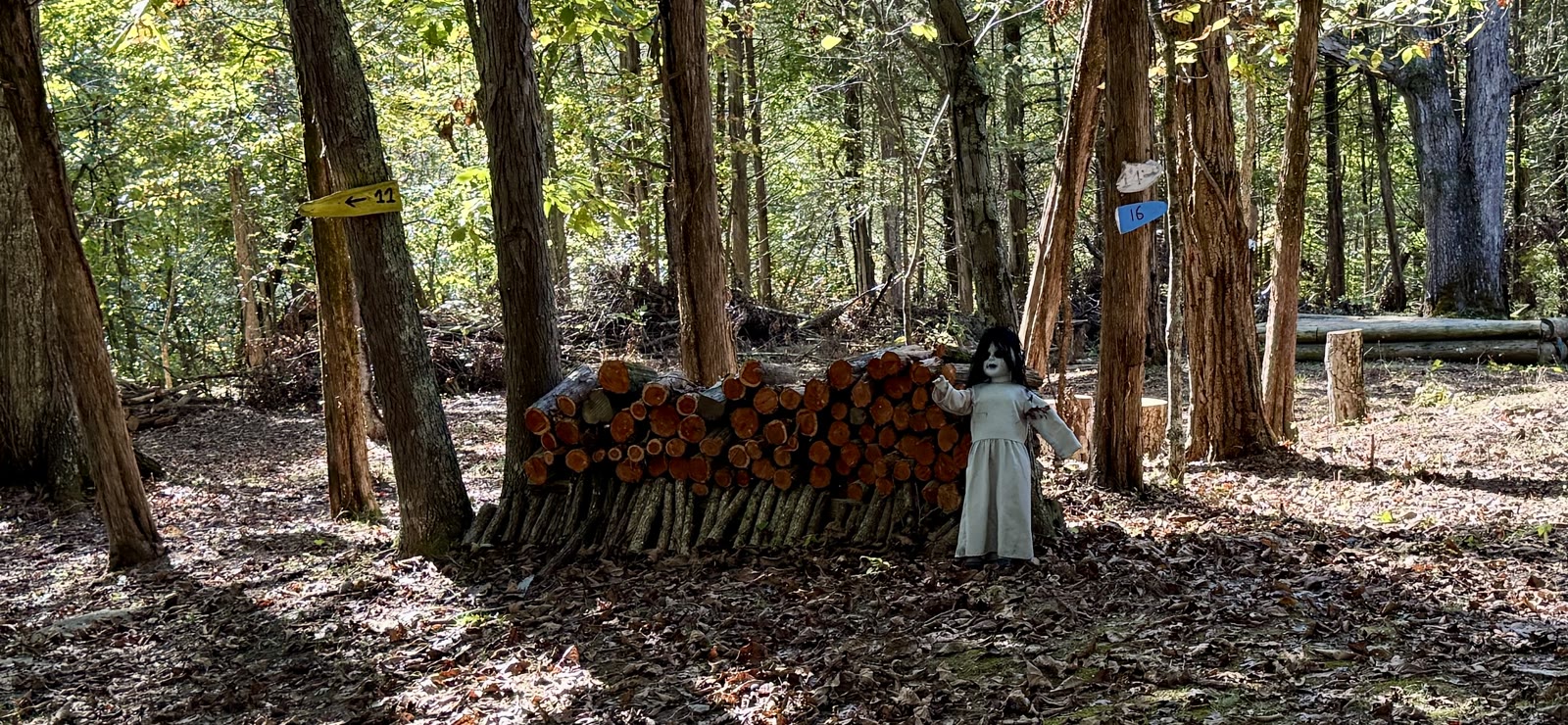 Blue Goose woods prop — life-size doll beside stacked logs near hole 12/16 signs, Franklin County