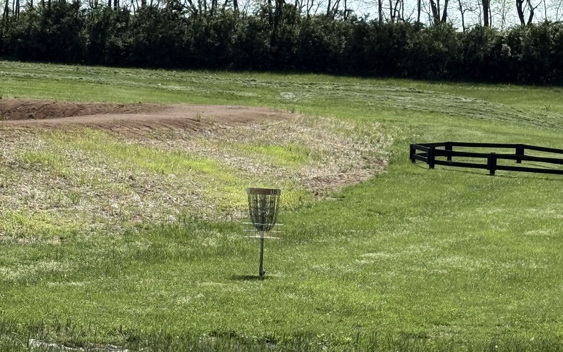 Open-field disc golf basket at Falling Springs, Woodford County