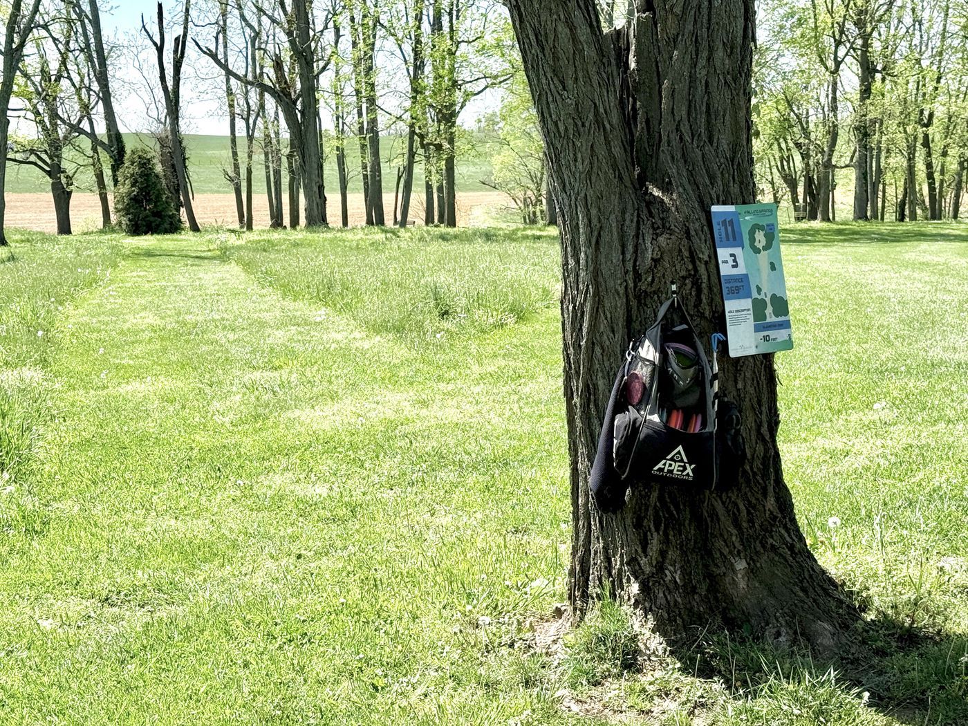 Falling Springs hole 11 tee, Par 3 369 feet, Apex bag on a tree — Woodford County, Versailles