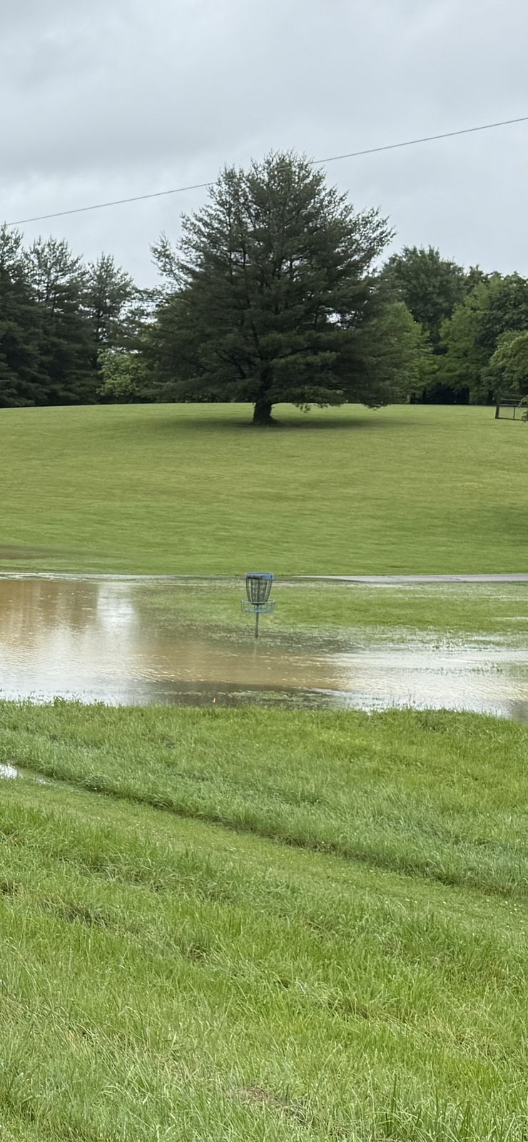 Lakeview Park disc golf basket standing in floodwater after rain