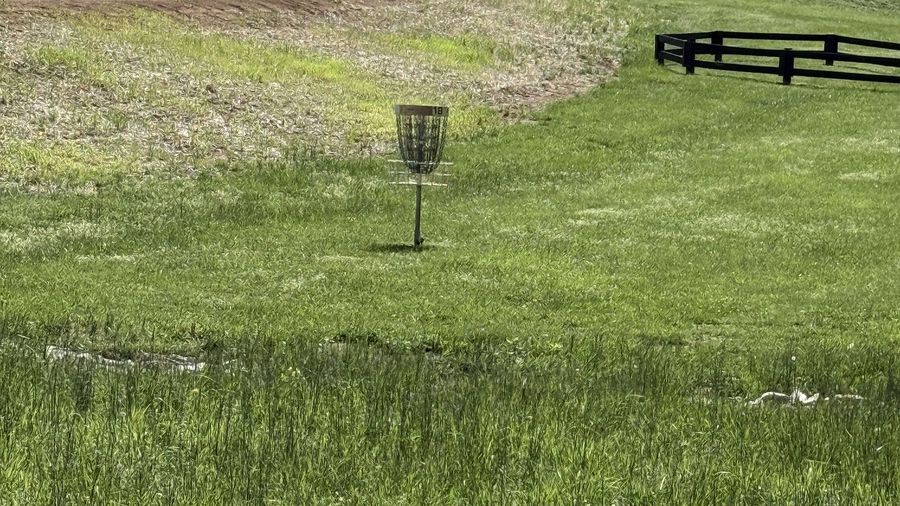 Open park disc golf basket on a Kentucky fairway